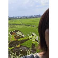 やんみー