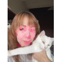 miya