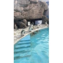 チアキ