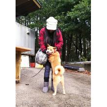 かよ